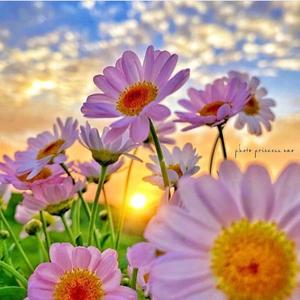 [SOLD]夏日初体验- Boombap Beat