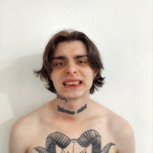 собаки