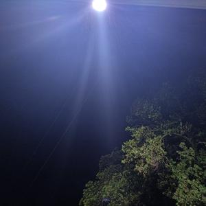 总有一天你会出现在我身边