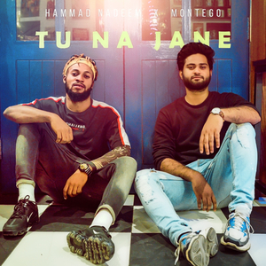 Tu na jane (feat. Hammad Nadeem)
