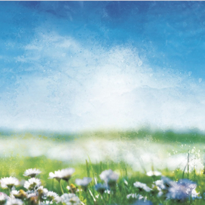 The Sun Only Sets Here If You Wish It.