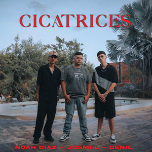 Cicatrices