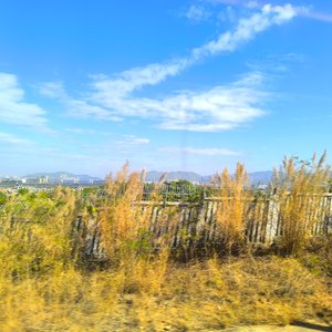 提前到来的夏温