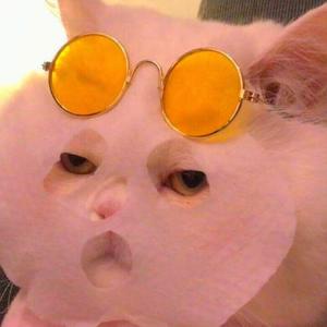 指纹（丁芙妮版）