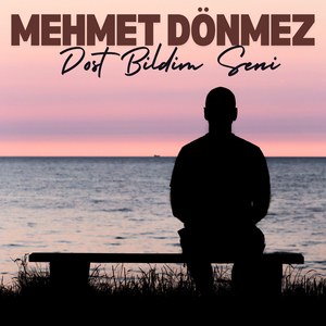 Dost Bildim Seni
