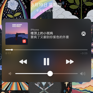 楼顶上的小斑鸠