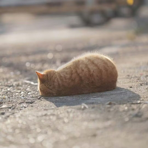 接受每个时期的自己