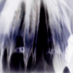 brightside (feat. Organ Tapes)