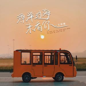 漂洋过海来看你 (DJ京仔版)