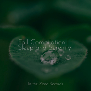 Lakeside Tranquility