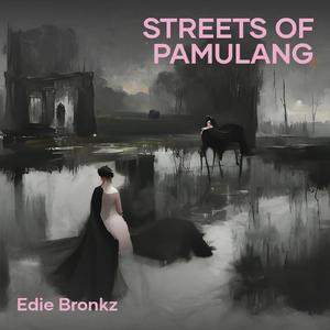 Streets of Pamulang