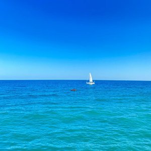 过了河就拆桥（翻自 金娃）