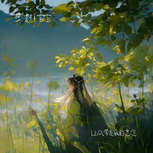 让风带走我的思念