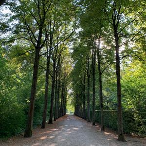 Leuchtende Tage
