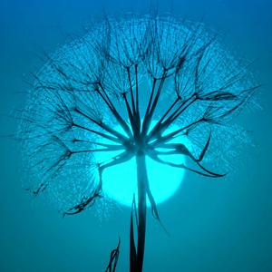 Καταραμένη Άνοιξη