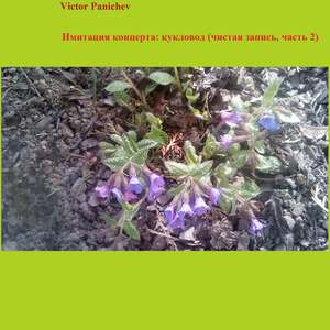 Фиолетовые волны, версия 2