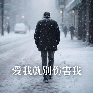 爱我就别伤害我(女版)