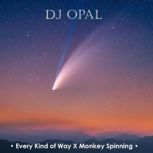 Every Kind of Way X Monkey Spinning