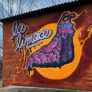 Acid (Live session à la Limace)