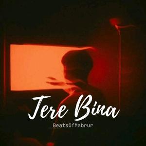 Tere Bina
