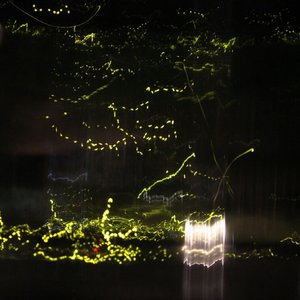 腐草为萤（Cover 银临）