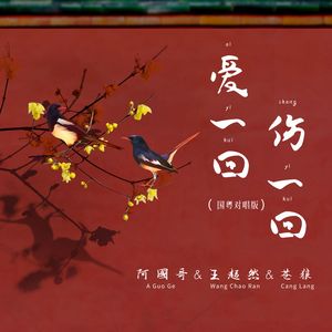 爱一回伤一回 (国粤对唱版)