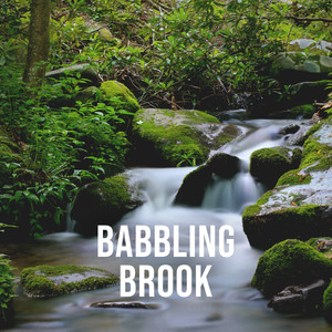 Babbling Brook, Pt. 14