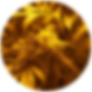 Addicts (Original Mix)