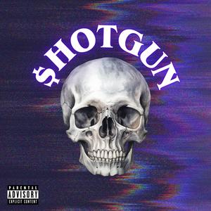 $hOTGUN