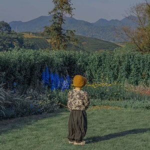 水瓶（cover:沈以诚）