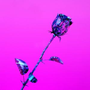 Like I Do (Radio Edit)