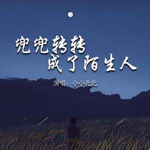 兜兜转转成了陌生人