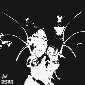 Spectate