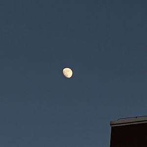 遗忘代表_20240715_101858