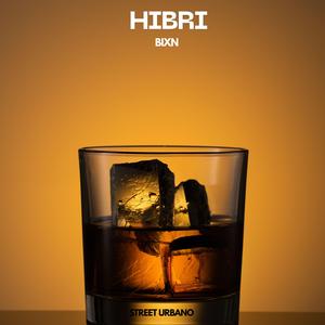 HIBRI