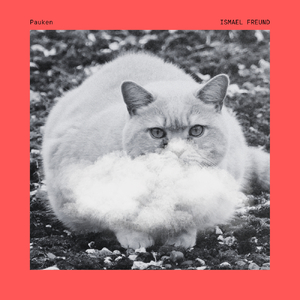 Sommer Und Gentrifizierung