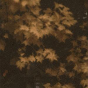 armour (feat. ariiincolur & vix)