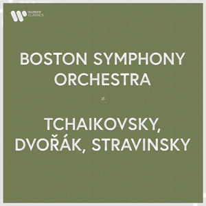 Symphony No. 6 in B Minor, Op. 74 "Pathétique":I. Adagio - Allegro non troppo