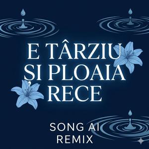 E traziu si ploaia rece (Oriental Remix)