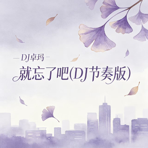 就忘了吧(DJ节奏版)