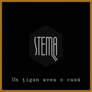 Un țigan avea o casă (feat. Sânziana)