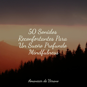 Canción de Cuna Estrellada de Zumbido