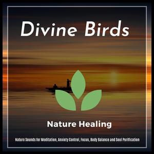 Relief With Ocean Waves