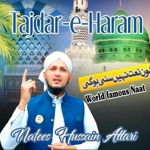 Tajdar e Haram