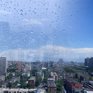 七月清晨的雨