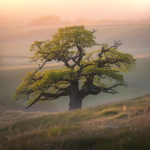 깨진 유리잔에 비친 그림자