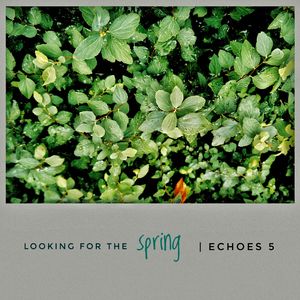 Looking for the spring