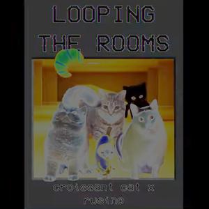 LOOPING THE ROOM (OOOIIAA CAT)