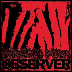 Observer