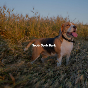 Carefree Ambience for Exploring New Destinations